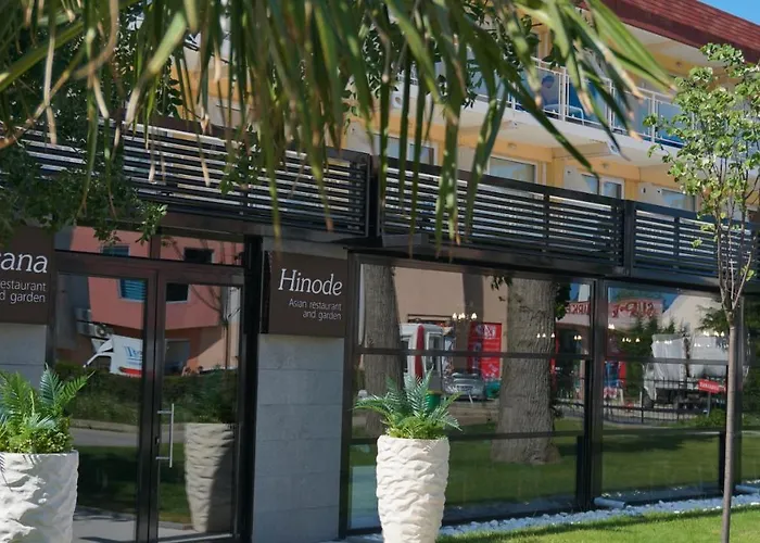 度假村 Dit依维卡海滩俱乐部酒店 - 全包 阳光海滩